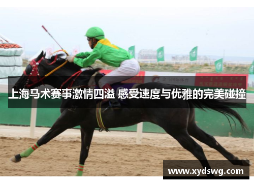 上海马术赛事激情四溢 感受速度与优雅的完美碰撞
