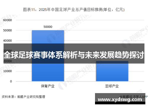 全球足球赛事体系解析与未来发展趋势探讨