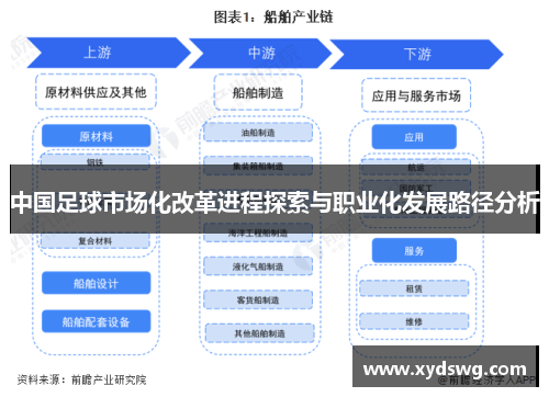 中国足球市场化改革进程探索与职业化发展路径分析