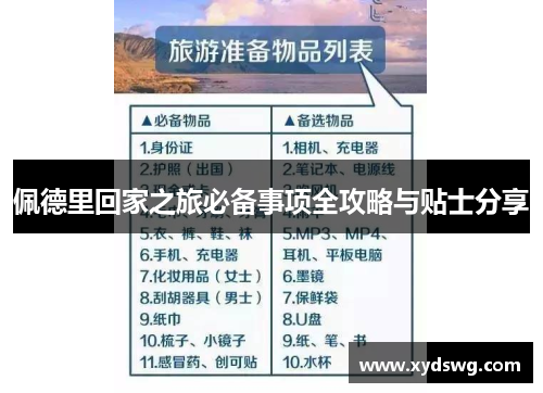 佩德里回家之旅必备事项全攻略与贴士分享