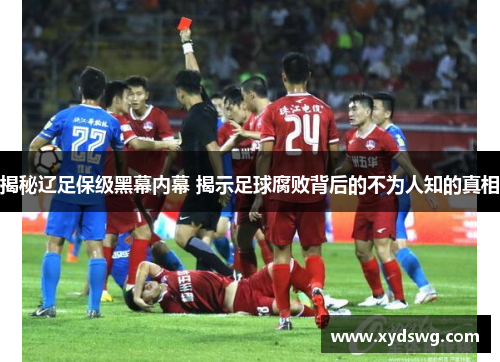 揭秘辽足保级黑幕内幕 揭示足球腐败背后的不为人知的真相