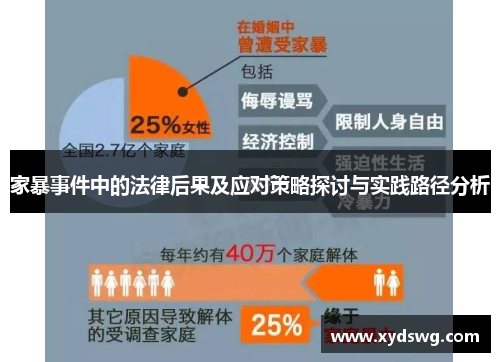 家暴事件中的法律后果及应对策略探讨与实践路径分析