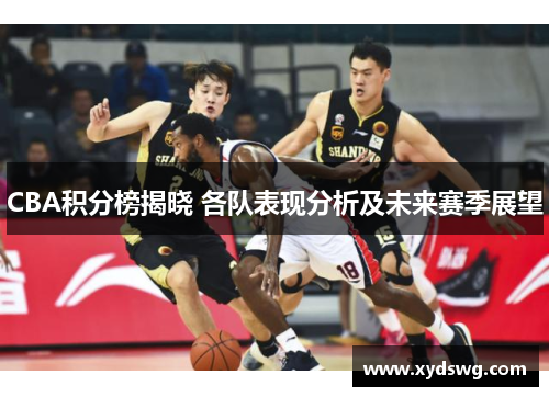 CBA积分榜揭晓 各队表现分析及未来赛季展望