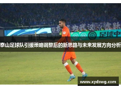 泰山足球队引援策略调整后的新思路与未来发展方向分析