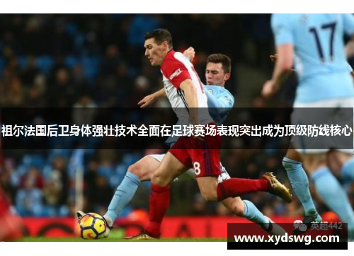 祖尔法国后卫身体强壮技术全面在足球赛场表现突出成为顶级防线核心